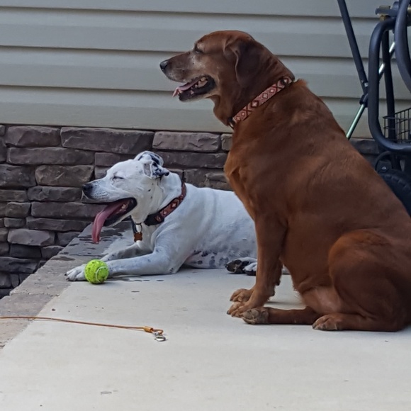 Meet your Posher, Julie - Picture 2 of 2